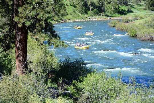 Tour image 12